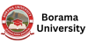 Borama University