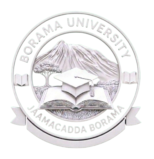 Borama University